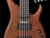 Modulus Quantum 5 Fretless 