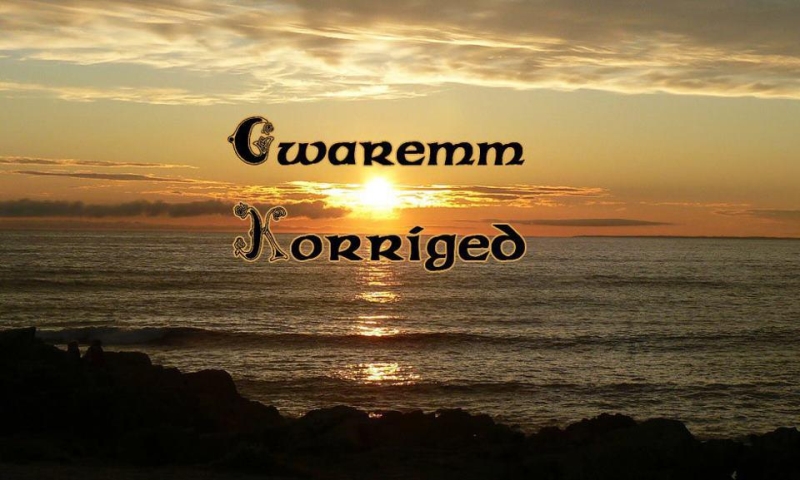 Gwaremm Korriged - Dur Dabla