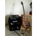 Hartke LH500